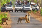 Nainital/Bhimtal – Corbett Park