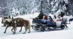 Pahalgam-Gulmarg  